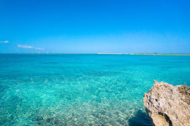 Summer in the pacific ocean, blue and transparent water with coral reef