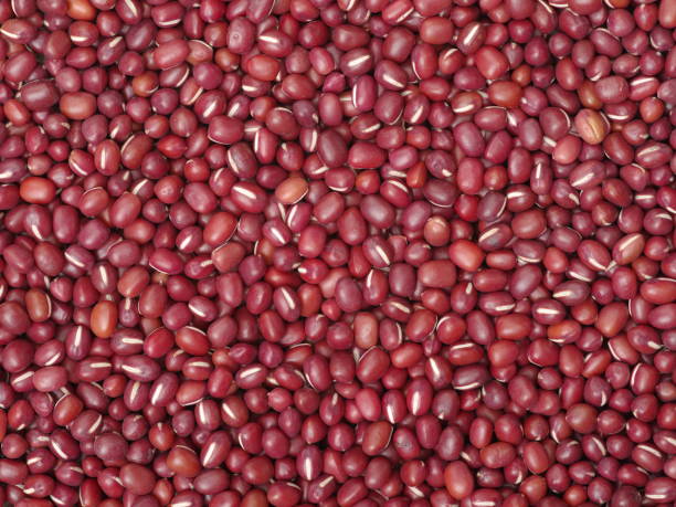 istock Adzuki beans background from directly above 679305630