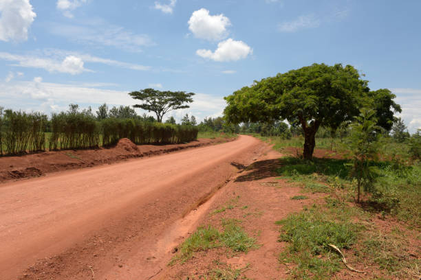istock Country side close to lake Mugesera - Rwanda 679314698