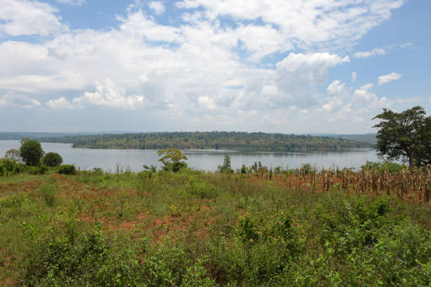 istock Lake Mugesera close to Sake - Rwanda 679317632