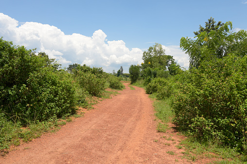 On the road to Gashora. Country side between Kibungo and Sake - Rwanda