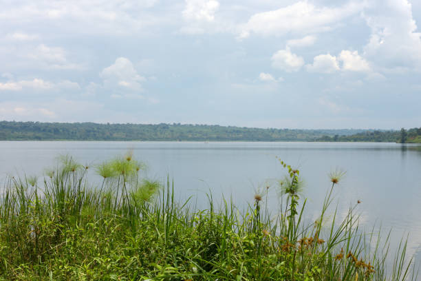 istock Lake Mugesera close to Sake - Rwanda 679321392
