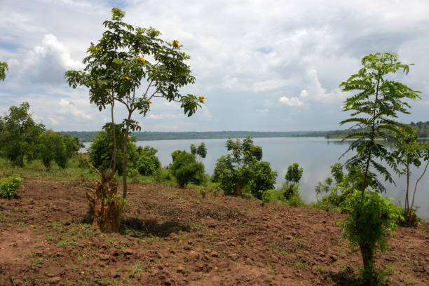 istock Lake Mugesera close to Sake - Rwanda 679321452