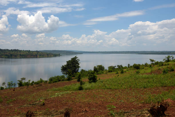 istock Lake Mugesera close to Sake - Rwanda 679321486