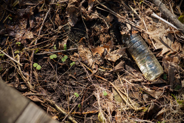 istock Plastic Waste Water Bottle Thrown in Nature Littering 679322056