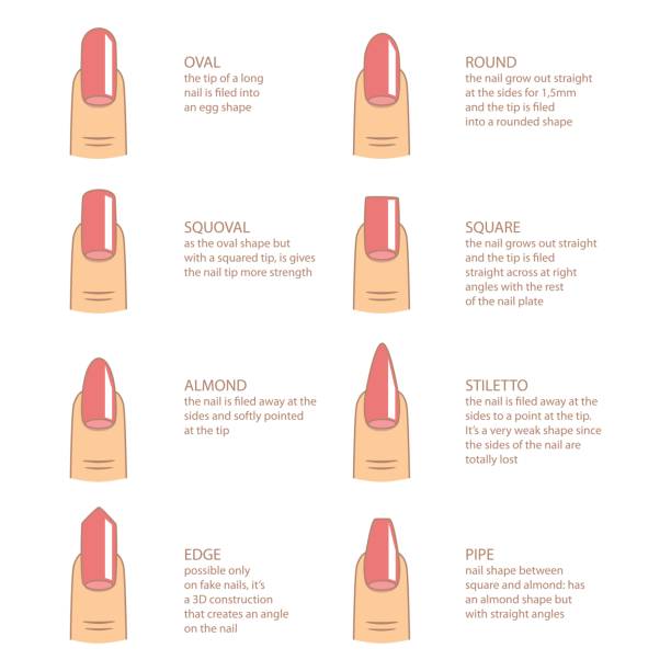 200+ Stiletto Nails Stock Illustrations, Royalty-Free Vector Graphics ...
