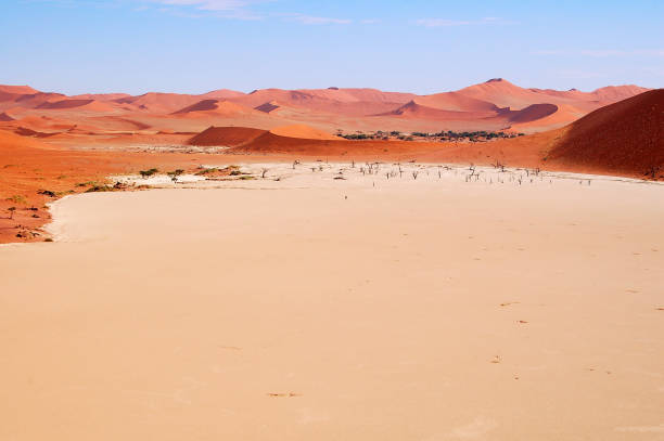 beautiful dead vlei in namibia - landscape panoramic kalahari desert namibia imagens e fotografias de stock