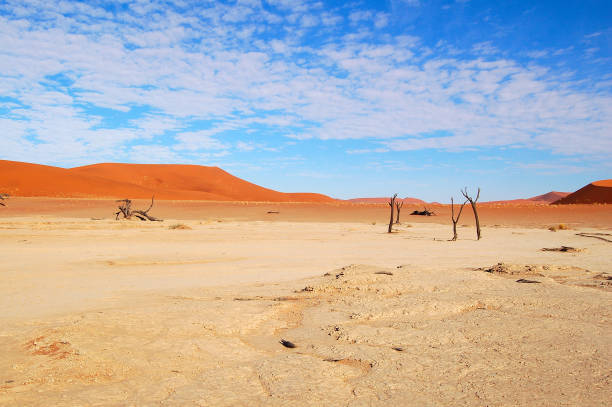 wonderful dead vlei in the namib desert in namibia - landscape panoramic kalahari desert namibia imagens e fotografias de stock