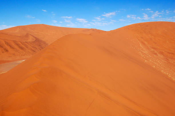 wonderful namib desert in namibia - landscape panoramic kalahari desert namibia imagens e fotografias de stock