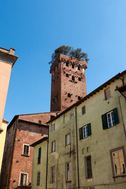 istock Guinigi Tower - Lucca Tuscany Italy 679345954