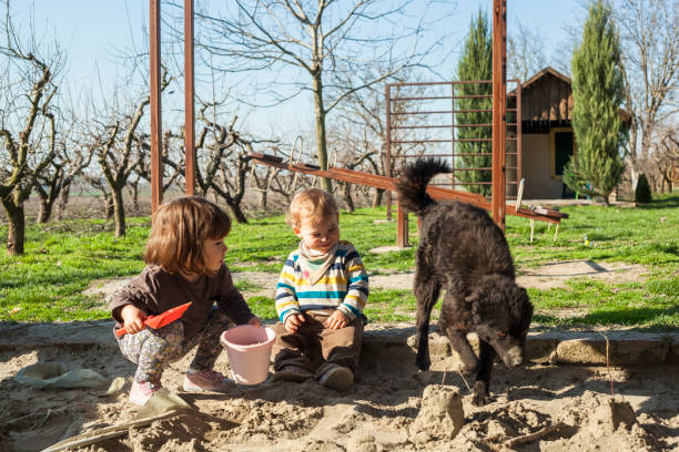 istock Brother and sister playing in the sand 679421952