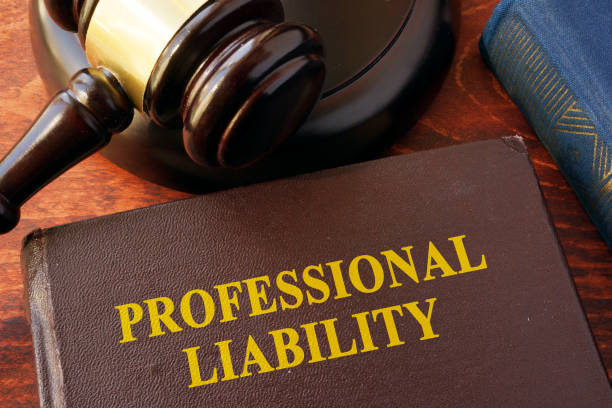 istock Book with title professional liability and gavel. 679436830