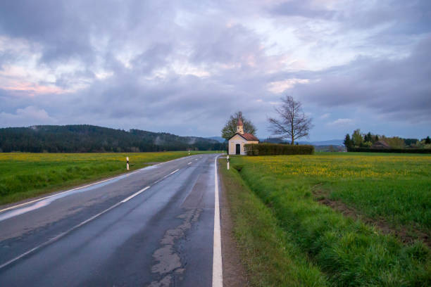 Wet road in the field after the spring rain