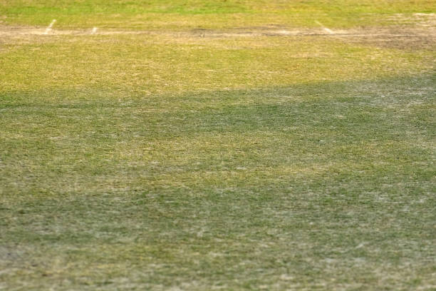 istock close-up of cricket pitch 679437184
