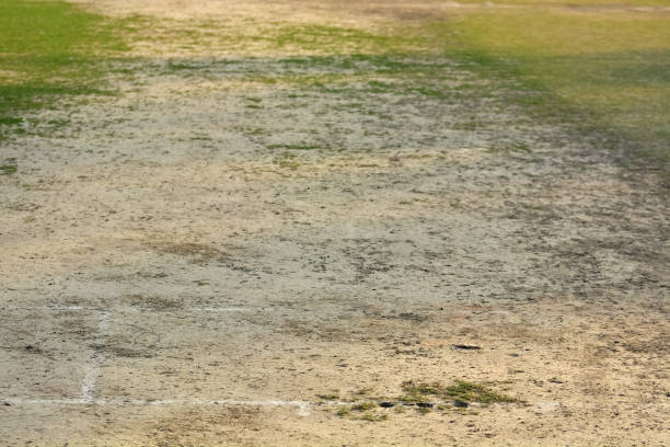 istock close-up of cricket pitch 679437622
