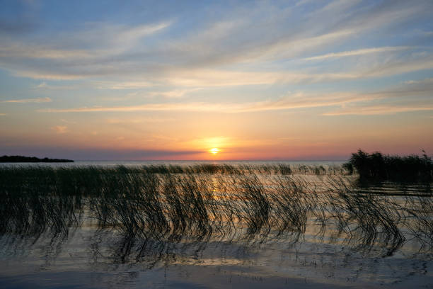 istock Coastal area Lake Balkhash 679450396