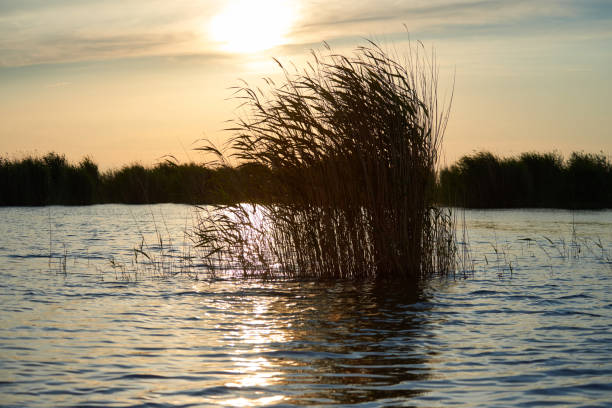 Lake Balkhash Is located in Central Asia in southeastern Kazakhstan