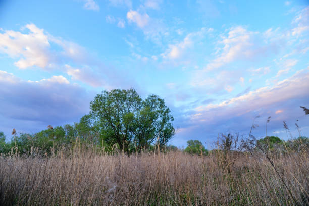 istock Beautiful sunset above rural lane. Square composition 679453378
