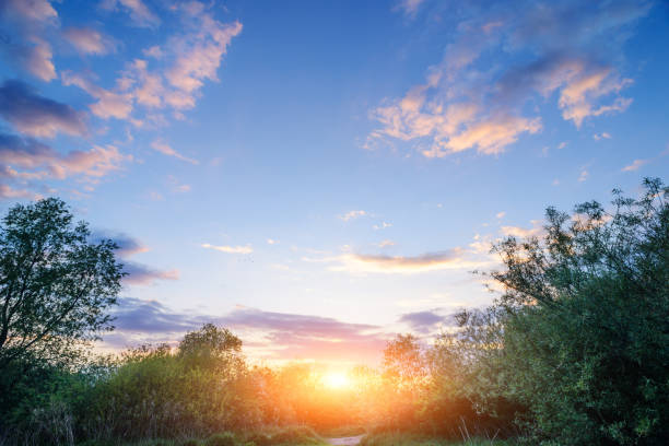 istock Beautiful sunset above rural lane. Square composition 679453922