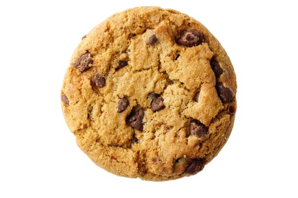 biscotto al cioccolato isolato su sfondo bianco - close up cookie gourmet food foto e immagini stock