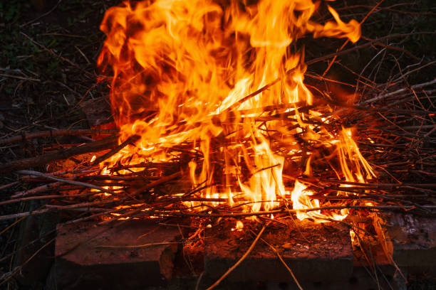 istock high flame of a bonfire. Fire in night 679462214