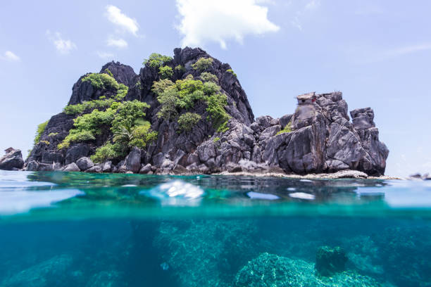 istock Half underwater of island and under the sea 679469452