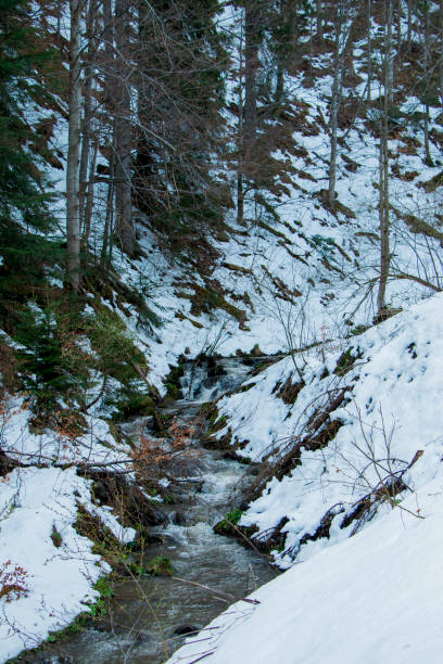 istock The river in the mountains 679472810