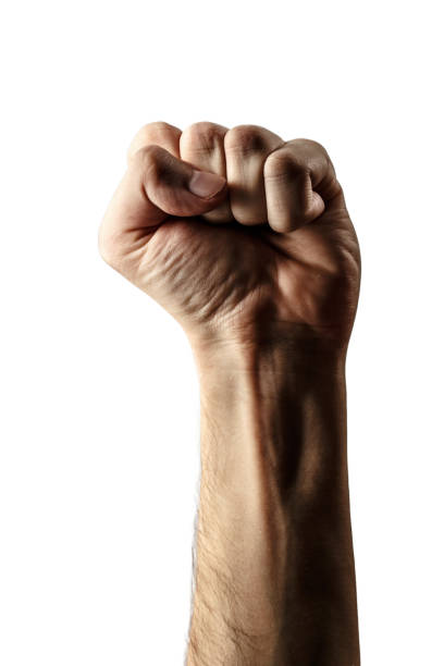 istock Male hand clenched in fist 679477268