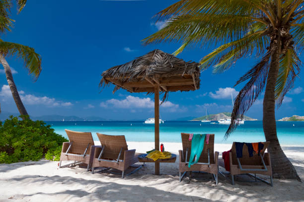 istock lounge chairs under palm trees on beautiful tropical beach 679484440