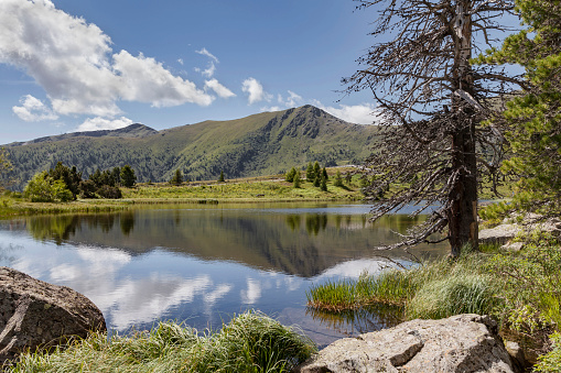 Landscape in Austria