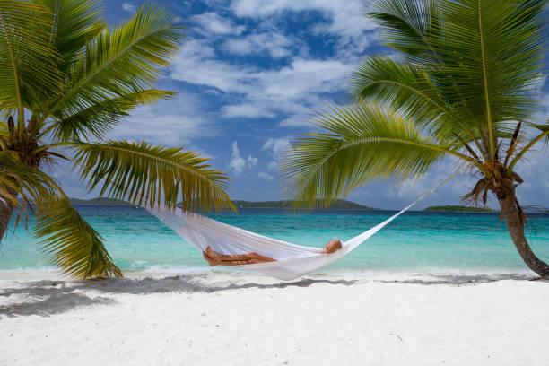istock woman relaxing in hammock on tropical beach 679498106