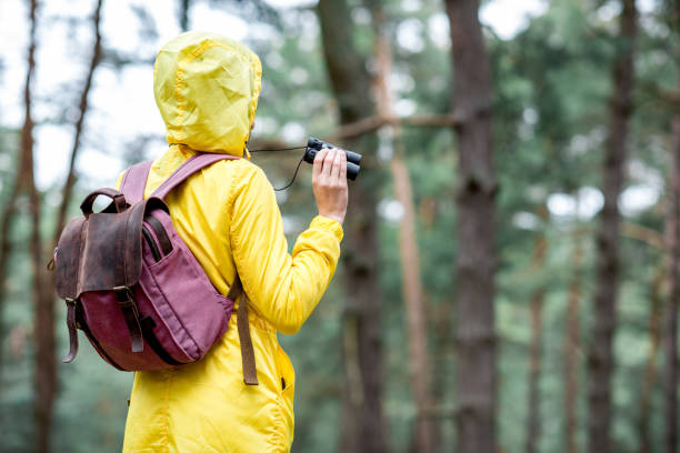 istock Woman hiking in the forest 679499134
