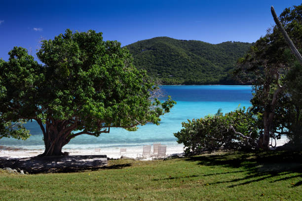 istock Tropical beach view from Caneel Bay, St John 679502072