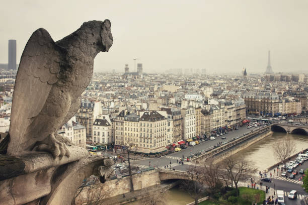 наблюдение из собора нотр-дам де пари - gargoyle notre dame paris france architecture стоковые фото и изображения