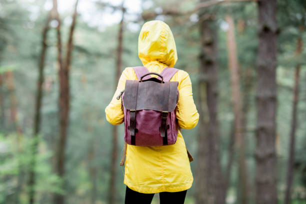 istock Woman hiking in the forest 679502482