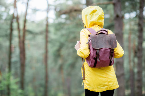 istock Woman hiking in the forest 679502526