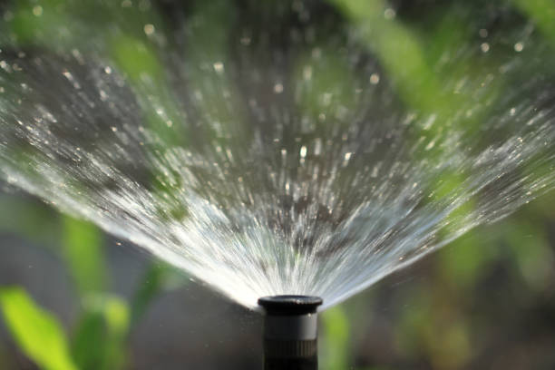 istock Irrigation system watering green plant 679505850