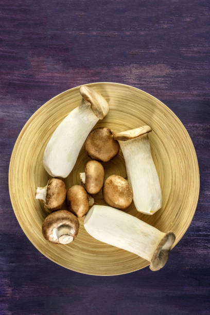 Overhead photo of edible mushrooms with copyspace