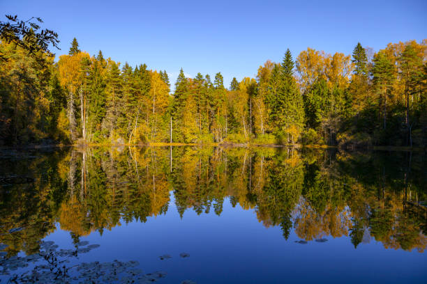 istock Autumn forest reflection in pond, Aegviidu, Estonia 679511174