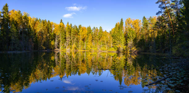 istock Autumn forest reflection in pond, Aegviidu, Estonia 679511418