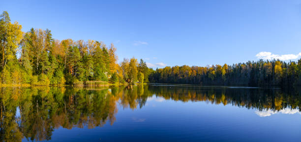 istock Autumn forest reflection in pond, Aegviidu, Estonia 679511648