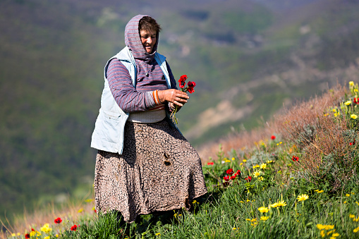 Georgian woman picking spring flowers, in Mtskheta, Georgia.