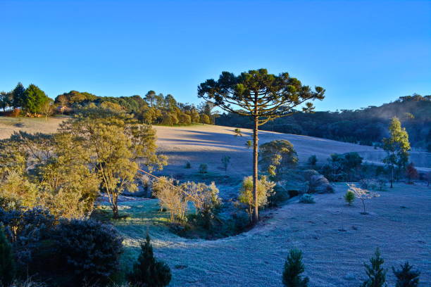 istock Beautiful countryside with frost 679513072