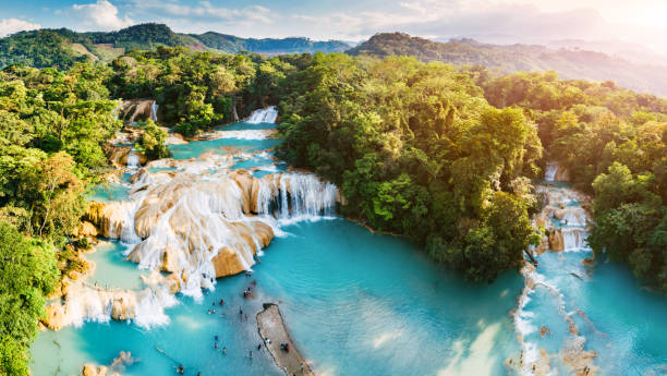 agua azul waterfalls in chiapas mexico - river spring waterfall water imagens e fotografias de stock