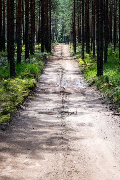 istock simple country road in summer 679525096