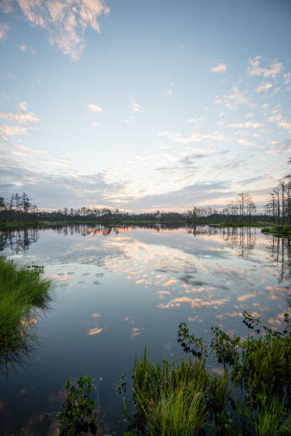 istock reflections in the lake water at sunrise 679525182