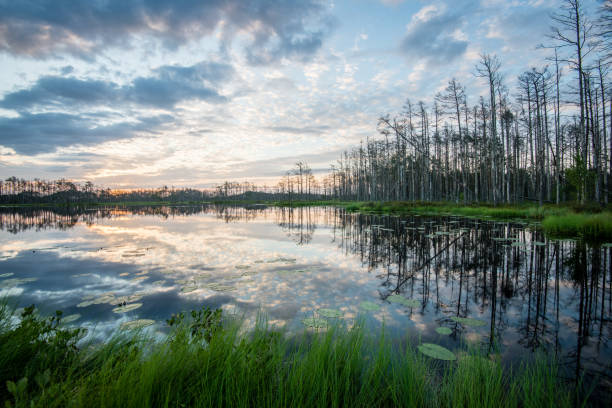 istock reflections in the lake water at sunrise 679525304