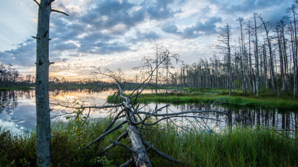 istock reflections in the lake water at sunrise 679525338