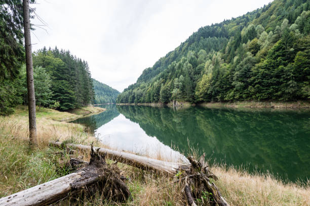 istock Reflections in the calm lake water 679532112