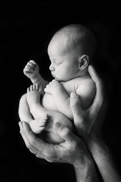 Newborn Baby in Father's Hands stock photo